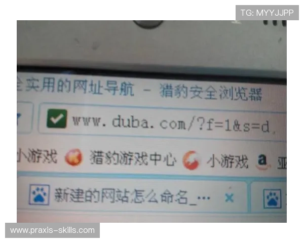 如何安全访问爱游戏的网址，避免虚假网站和保障个人信息安全的实用技巧